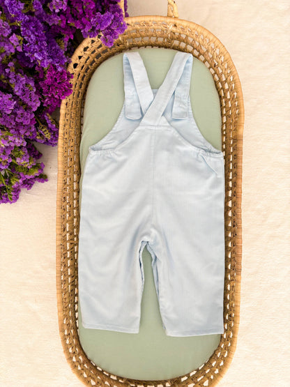 Three Little Ducks Dungarees